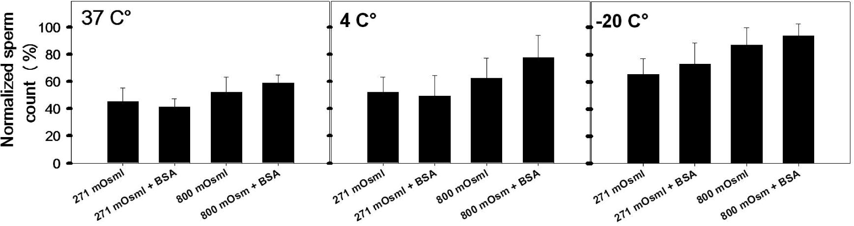 Changes in sperms count (n = 20) after preservation for 2 weeks in KSOMaa medium without/with supplementation of BSA at different temperature and different osmolarities (means ± SD).