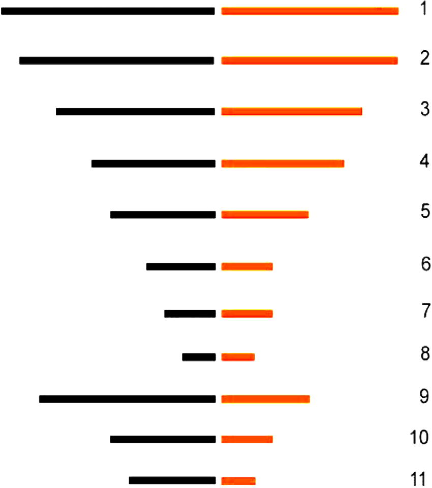 An ideogram of B. dhufarensis constructed on the basis of chromosome numbers and the position of the centromere.