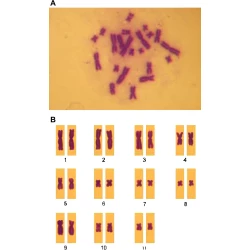 Article figure