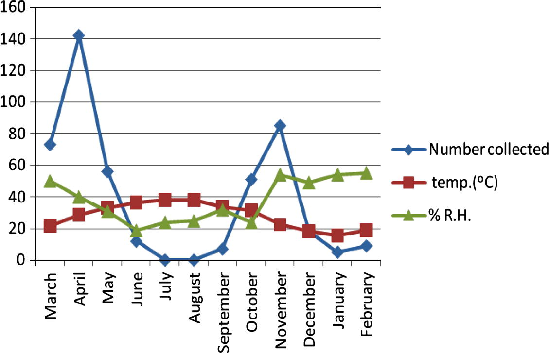 Seasonal activity of Culicoides bahrainensis in Al Hassa Region.