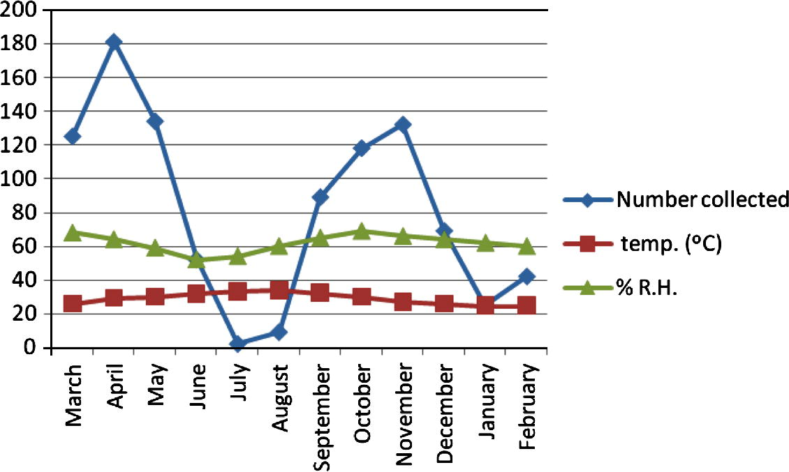 Seasonal activity of Culicoides bahrainensis in Jeddaha Region.