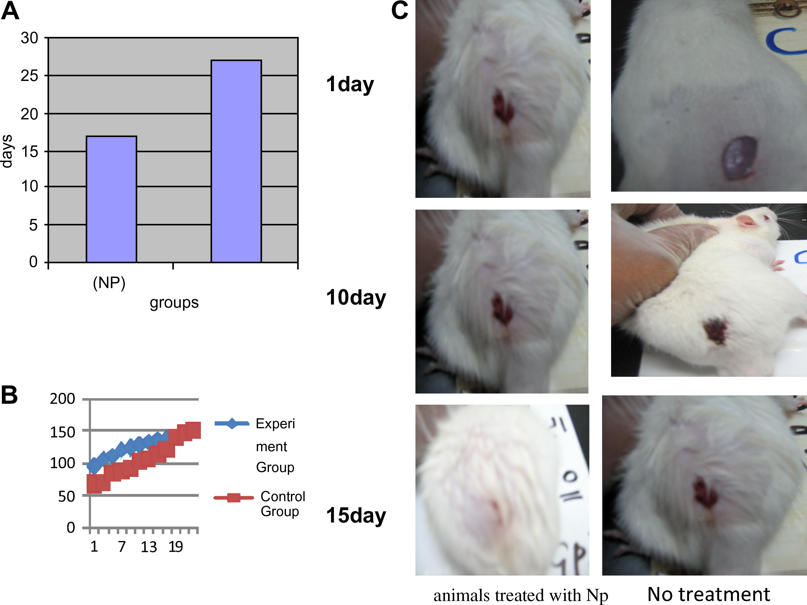 Silver nanoparticles accelerate wound healing and achieve superior cosmetic outcome: (A) time taken for wounds to heal in animals treated with silver nanoparticles (Np), and no treatment (NT). (B) The rate of wound healing in wound animals treated with (Np) or no treatment (NT). (C) Photographs of wounds from animals treated with Np, or no treatment on days 0, 10, and 15 after burn injury.