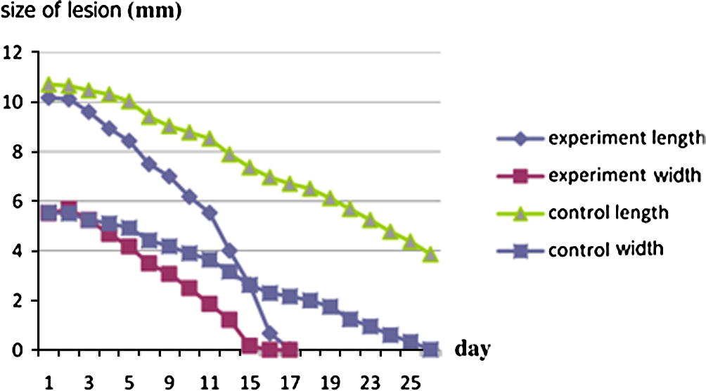 Size of lesion length and width between two groups.