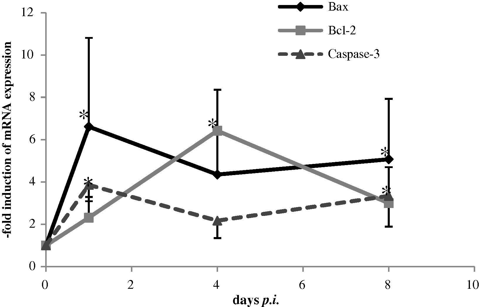 RT-PCR of Bax, Bcl-2 and Caspase-3 genes expression in liver of Plasmodium chabaudi infected mice. The expression of genes were measured at different times. The data present are the mean ± SE (n = 5). *Significant value at (P < 0.05).