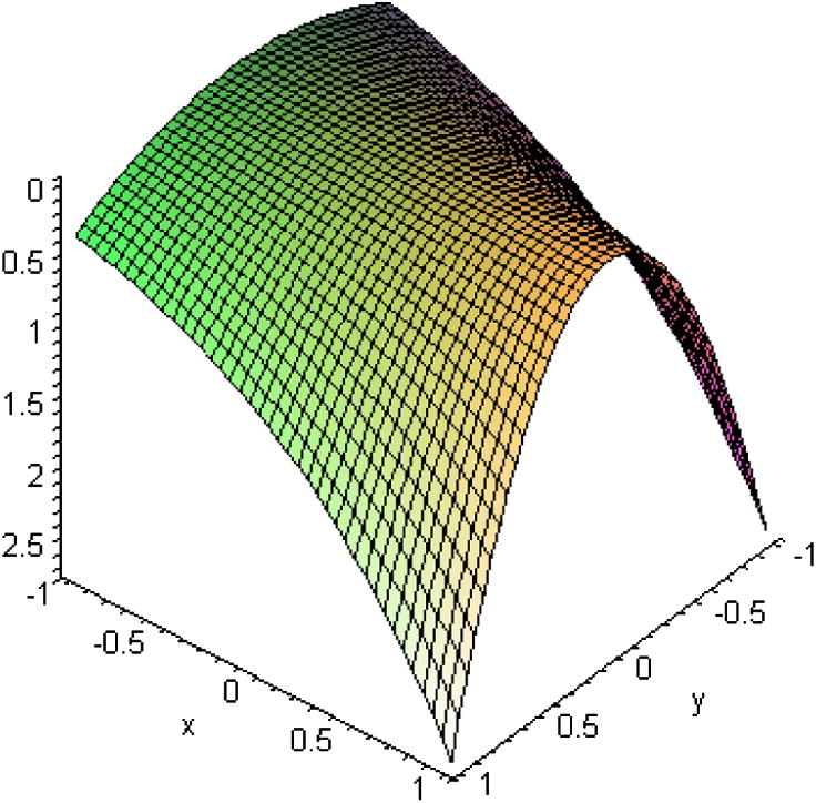 Exact solution for Example 2.