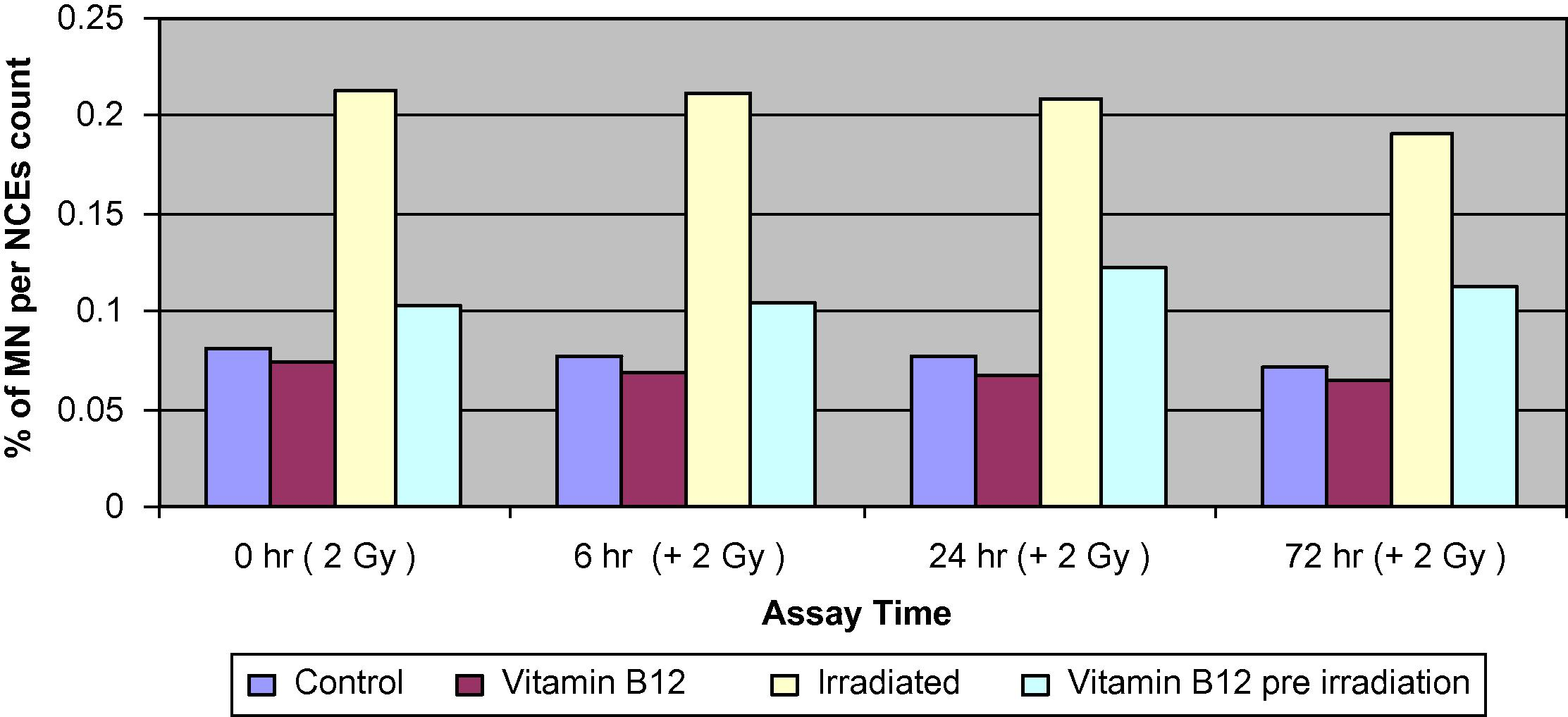 Changes of the percentage of MNNCEs of bone marrow cells in different groups of mice assessed at 0, 6, 24 and 72 h.