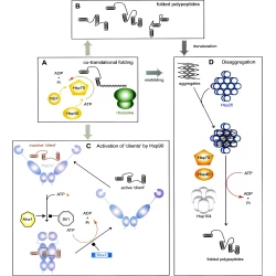 Article figure