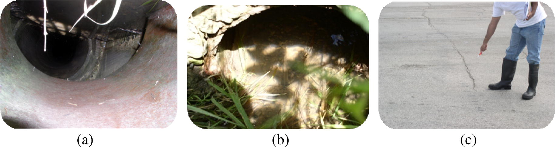 (a) Significant misalignment of the culvert structure. (b) Vegetation and heavy spalling in the headwall. (c) Cracks on the roadway surface.