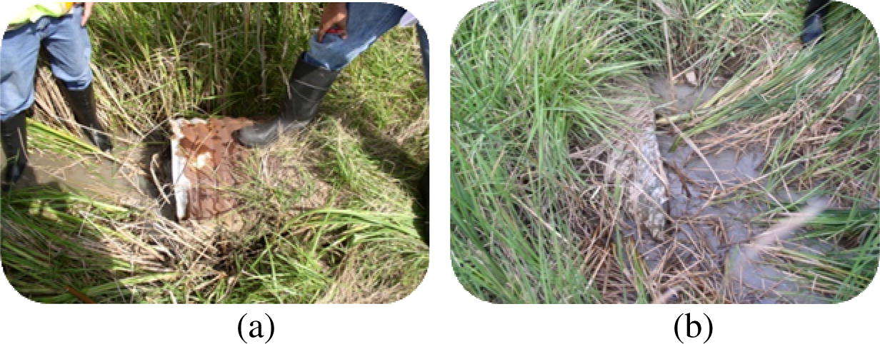 (a) Corrosion on the outside surface of the CMP. (b) Total failure of the culvert end.