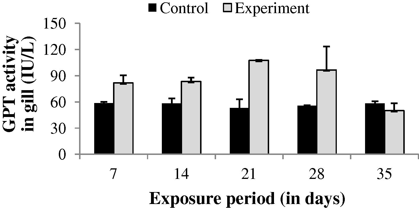 GPT activity in gill of control and carbamazepine treated fish (5.97 ppm; 35 days). Bar represents SE of the mean. Comparisons of means (control and treated fish) were done by Student’s t-test. ∗ Significant at 5% level (p < 0.05).