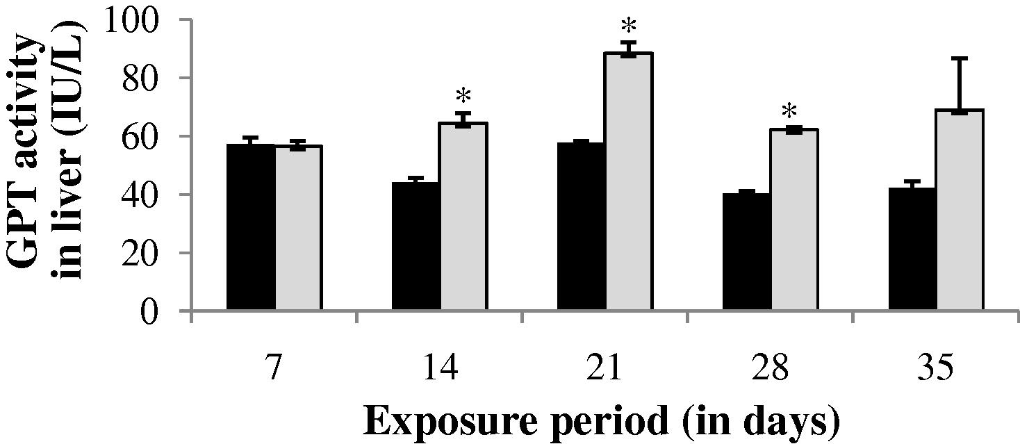 GPT activity in liver of control and carbamazepine treated fish (5.97 ppm; 35 days). Bar represents SE of the mean. Comparisons of means (control and treated fish) were done by Student’s t-test. ∗ Significant at 5% level (p < 0.05).