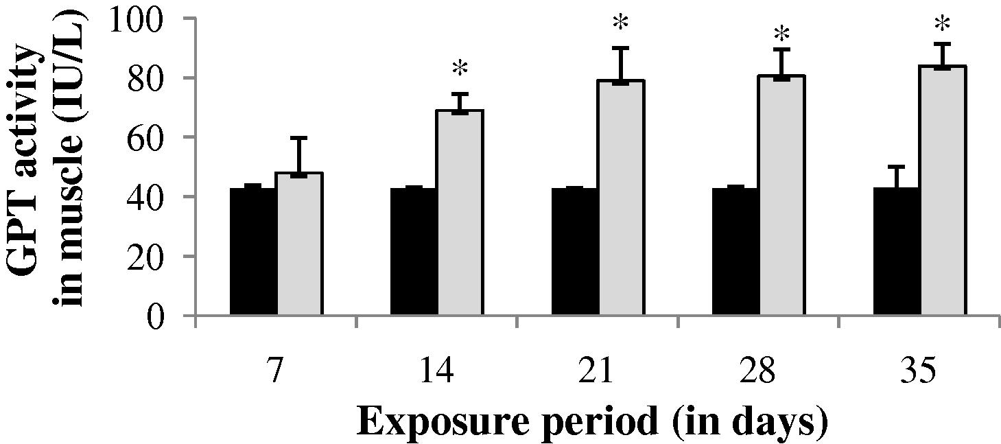 GPT activity in muscle of control and carbamazepine treated fish (5.97 ppm; 35 days). Bar represents SE of the mean. Comparisons of means (control and treated fish) were done by Student’s t-test. ∗ Significant at 5% level (p < 0.05).