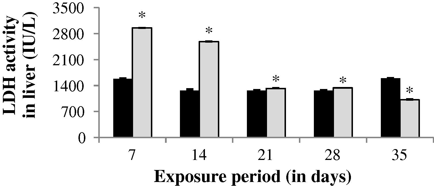 LDH activity in liver of control and carbamazepine treated fish (5.97 ppm; 35 days). Bar represents SE of the mean. Comparisons of means (control and treated fish) were done by Student’s t-test. ∗ Significant at 5% level (p < 0.05).