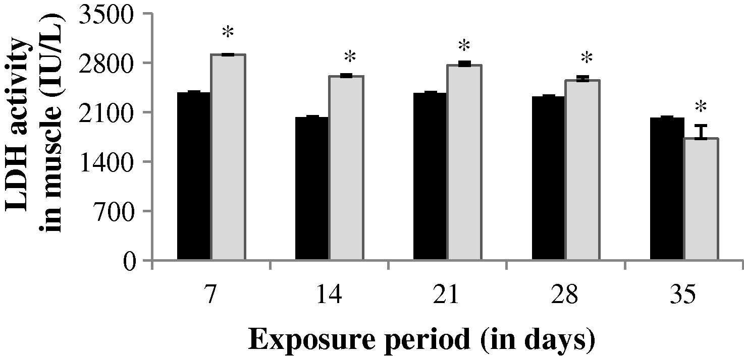 LDH activity in muscle of control and carbamazepine treated fish (5.97 ppm; 35 days). Bar represents SE of the mean. Comparisons of means (control and treated fish) were done by Student’s t-test. ∗ Significant at 5% level (p < 0.05).