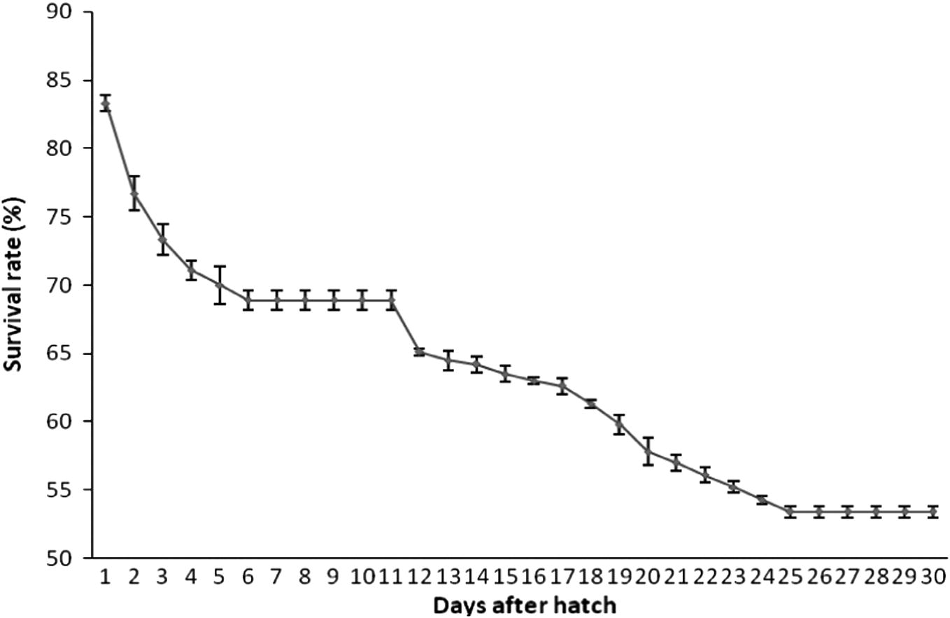 Survival rate of A. akallopisos during scaling up.