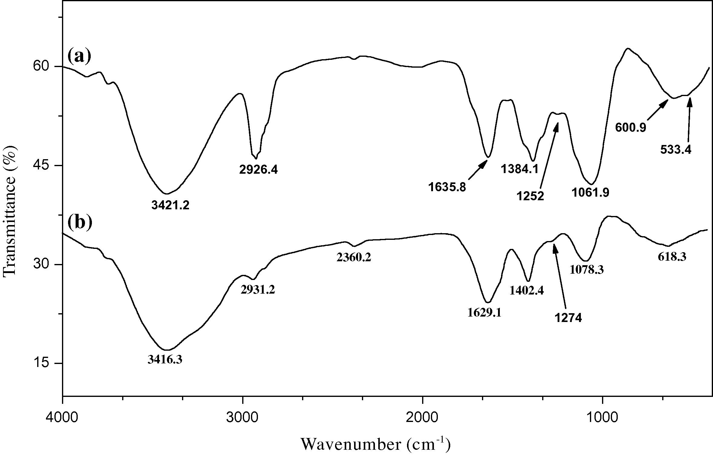 Infrared spectrum of dry E. crassipes biomass (a: before biosorption and b: after biosorption of 3.7 mg L−1 Cu2+ by 300 mg dry biomass).