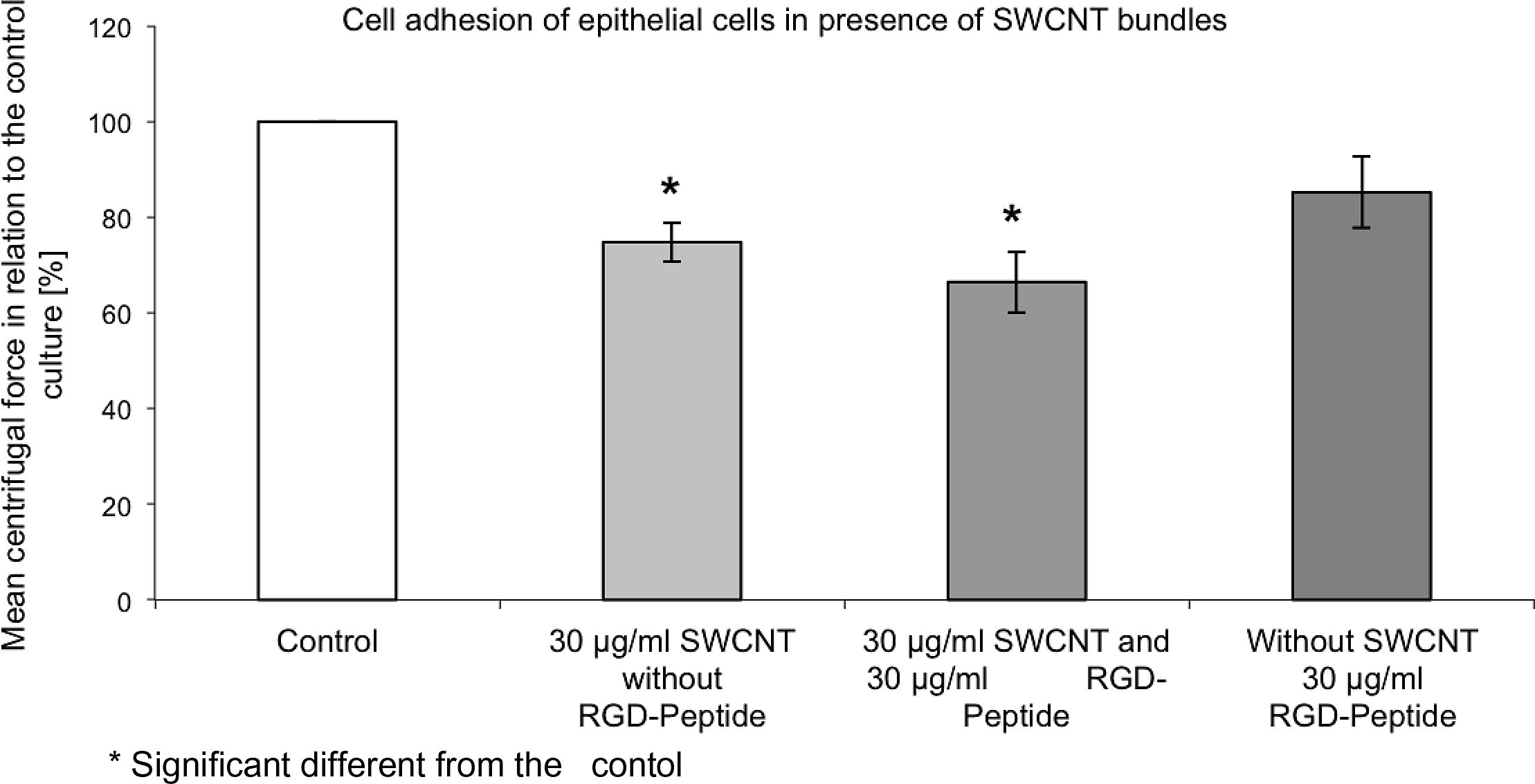 Epithelial cells were exposed to SWCNT bundles (30 μg/ml) with and without an RGD-sequence containing peptide for 1 day. SWCNT affected epithelial cell adhesion in a higher manner than the soluble RGD-sequence containing peptide.