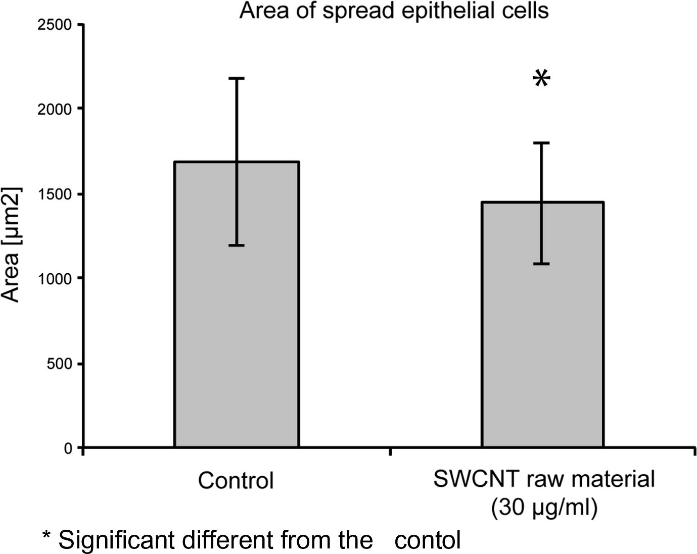 Spreading area of cells grown in the presence of 30 μg/ml SWCNT raw material in comparison to cells grown in the absence of SWCNT.