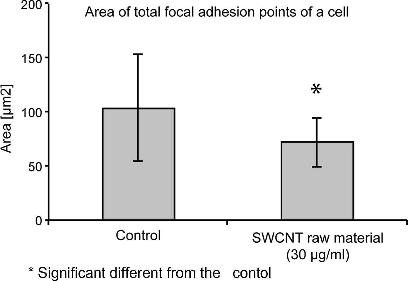 Development of visible focal adhesion points of cells grown in the presence of 30 μg/ml SWCNT raw material in comparison to cells grown in the absence of SWCNT.