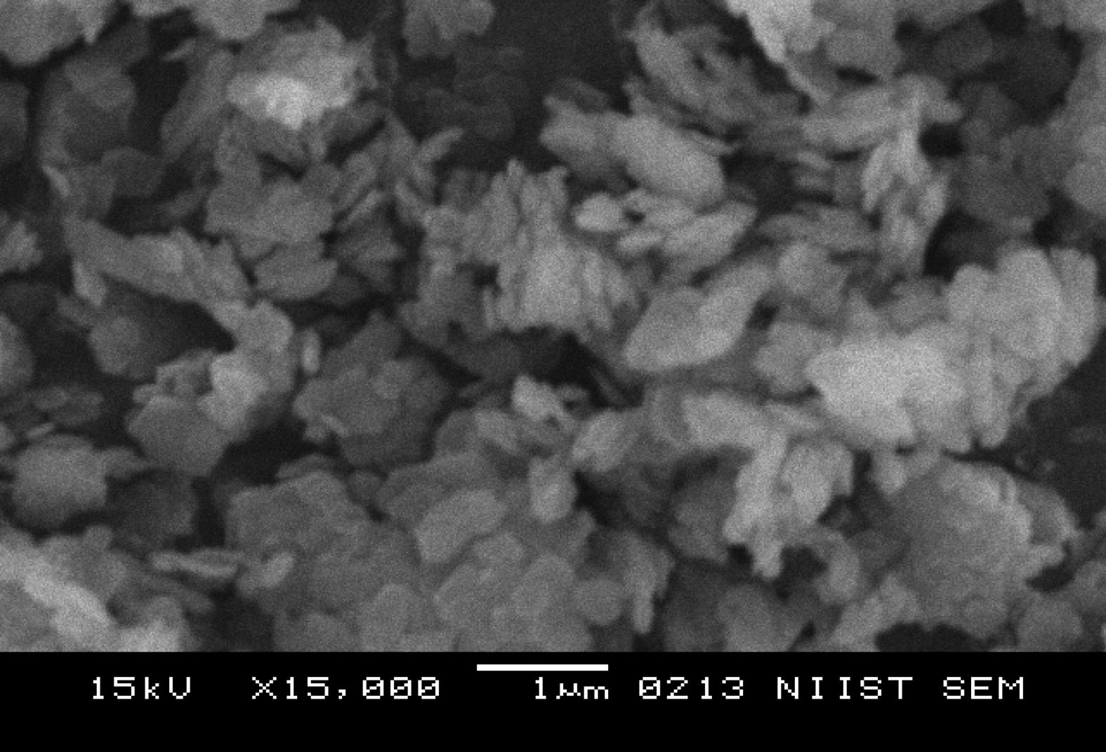 Pristine Kaolin at a magnification of ×15,000.