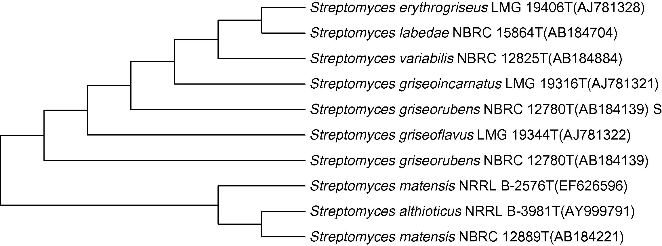 Evolutionary relationships of taxa. The evolutionary history was inferred using the Neighbor-Joining method (Saitou and Nei, 1987). The optimal tree with the sum of branch length = 0.60185941 is shown. The tree is drawn to scale, with branch lengths in the same units as those of the evolutionary distances used to infer the phylogenetic tree. The evolutionary distances were computed using the Maximum Composite Likelihood method (Tamura et al., 2004) and are in the units of the number of base substitutions per site. The analysis involved 40 nucleotide sequences. Codon positions included were 1st + 2nd + 3rd + Noncoding. All positions containing gaps and missing data were eliminated. There were a total of 1274 positions in the final dataset. Evolutionary analyses were conducted in MEGA5 (Tamura et al., 2011).