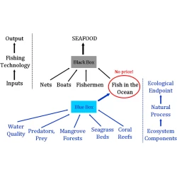 Article figure