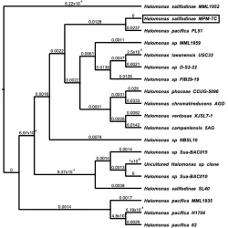 Article figure