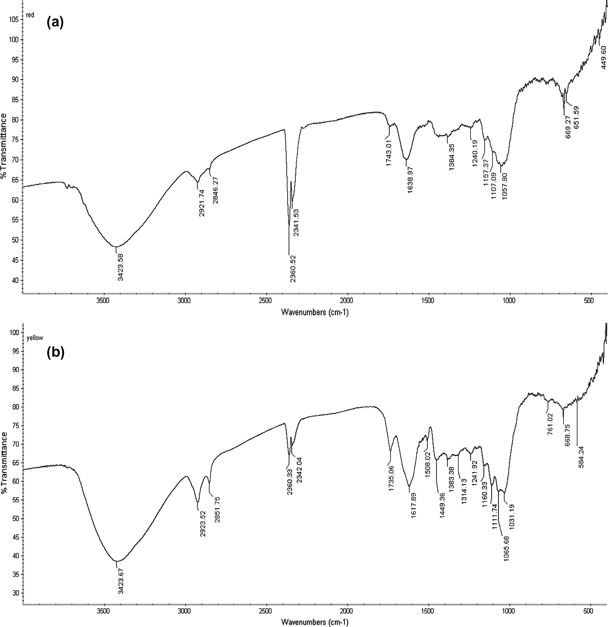 a, FTIR spectra of powdered flower petals of hibiscus; b, FTIR spectra of powdered flower petals of Cassia.