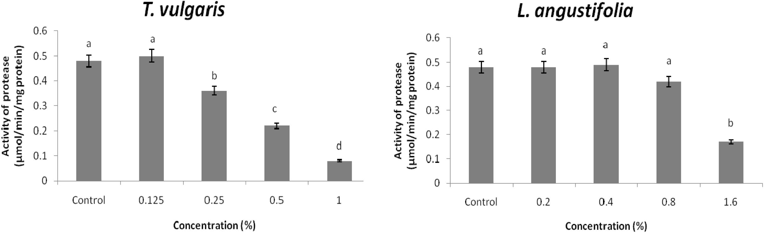 Effect of different concentrations of T. vulgaris and L. angustifolia essential oils on protease activity in midgut of third instar larvae of X. luteola.