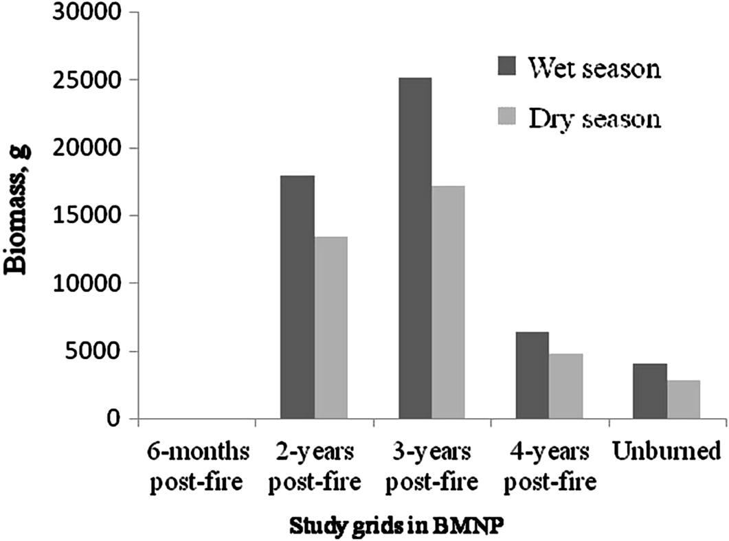 Biomass estimate of live-trapped rodents in different study grids (per hectare) in Bale Mountains National Park during wet and dry seasons (2008–2009).