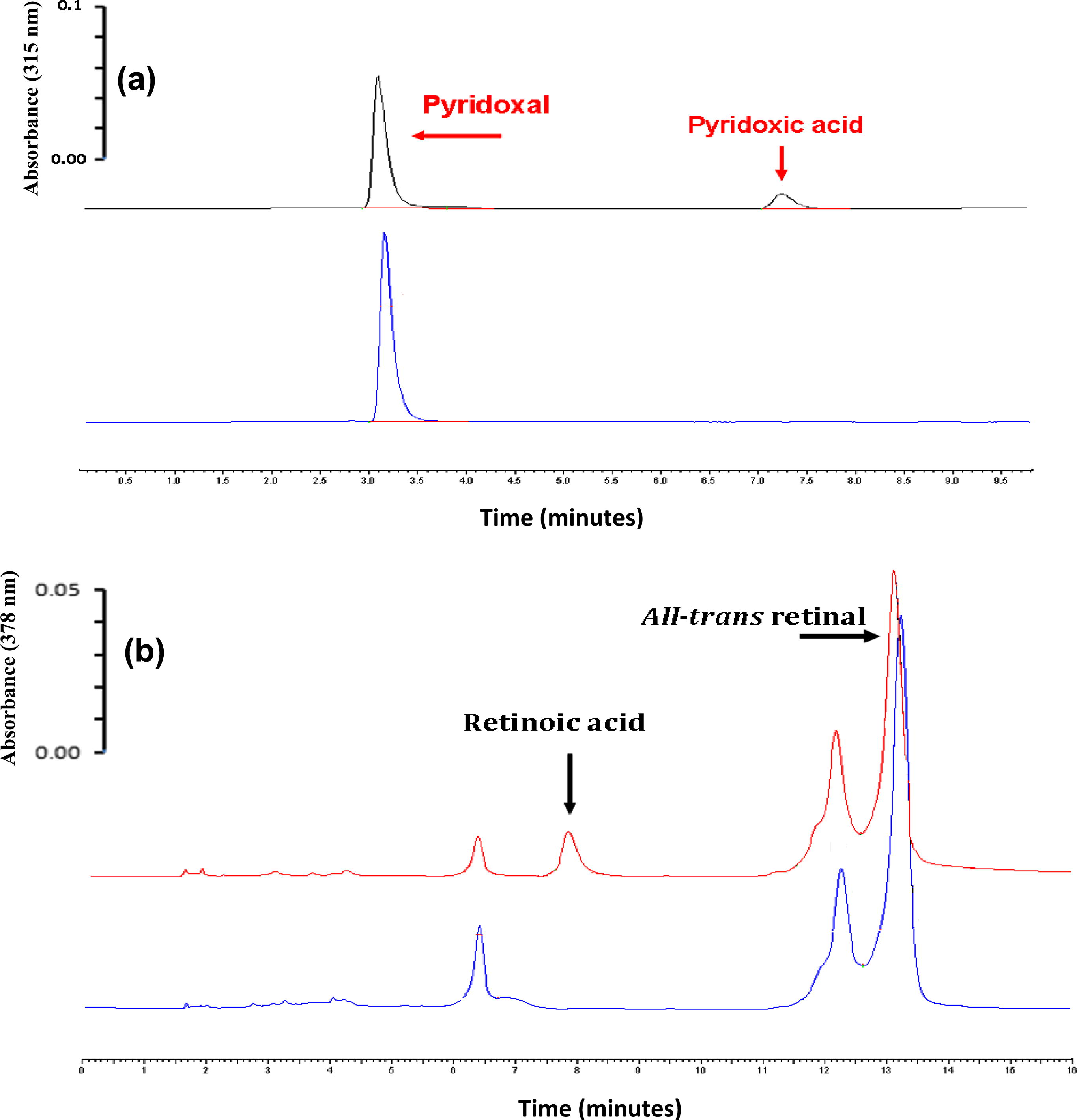 HPLC-UV analysis of the in vitro biotransformation of endogenous compounds (pyridoxal and all-trans retinal) by partially purified rabbit liver fraction. HPLC chromatograms are offset on the vertical axis to allow comparison between different incubation times. (a) Incubation rabbit liver fraction with pyridoxal at 37 °C for 0 (blue line) and 15 min (red line) (b) Incubation rabbit liver fraction with all-trans retinal. Blue line is a zero minute incubation and red line for 15 min incubation.