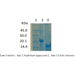 Article figure