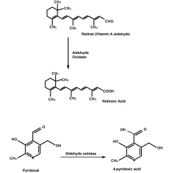 Article figure