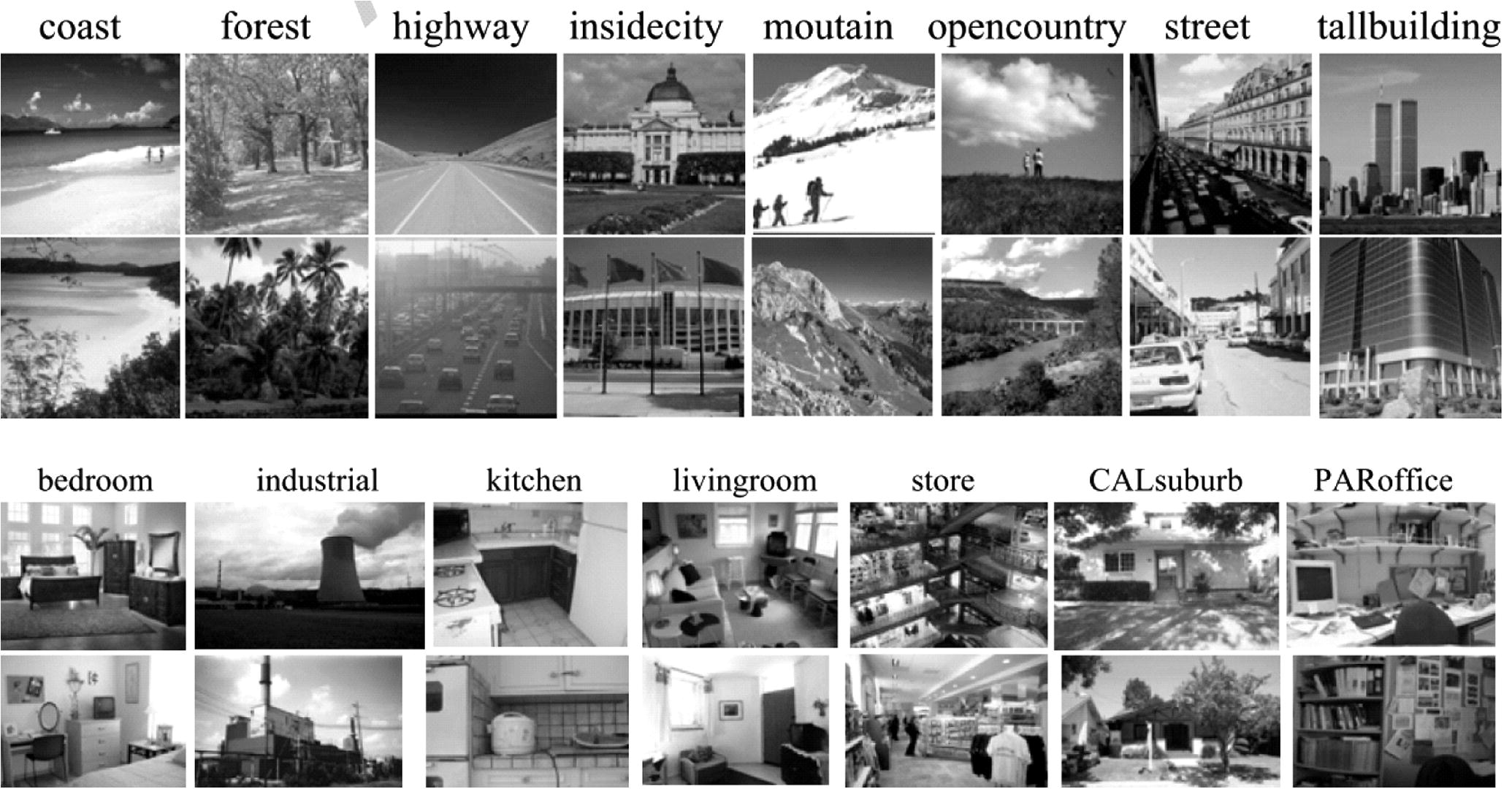 Samples from the scene dataset.