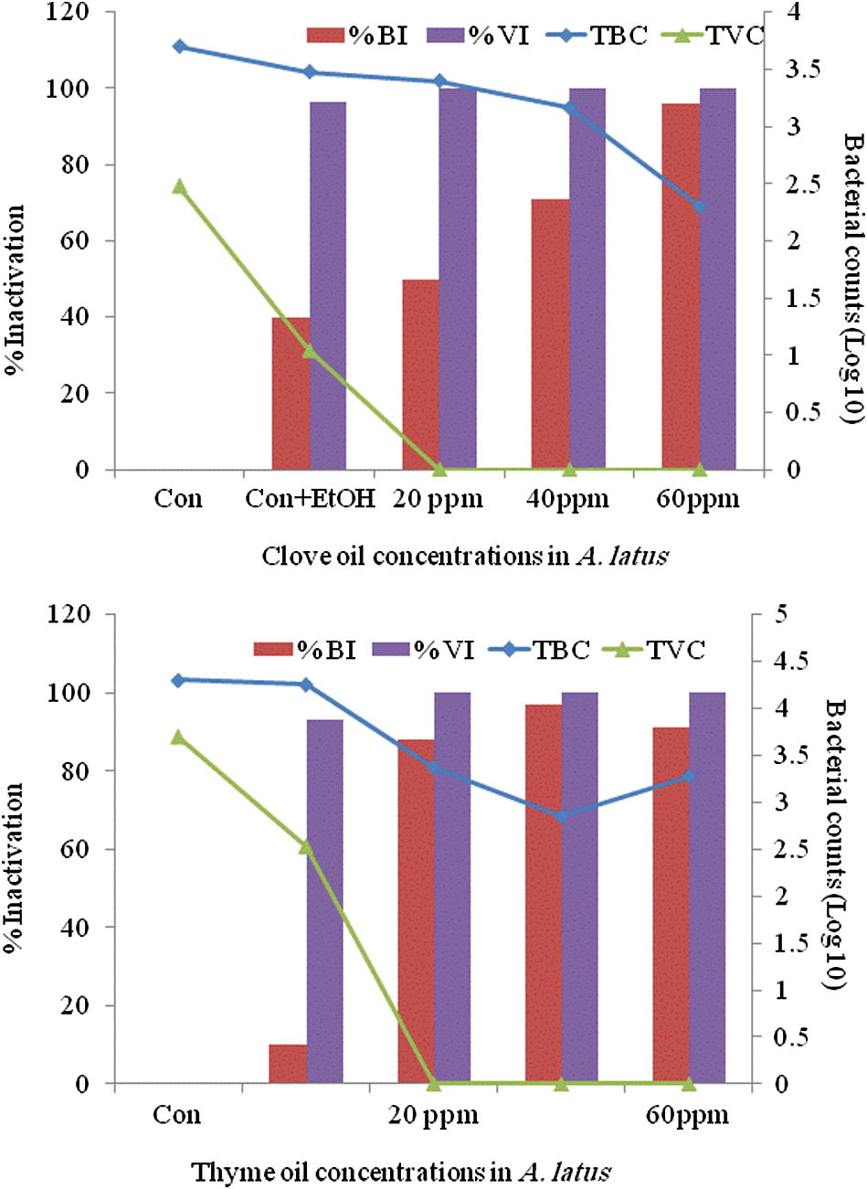 Surface swab from A. latus for total bacterial and vibrio (log10) counts (TBC and TVC) and their percent inactivation after treatment with clove oil (top) and thyme oil (bottom).