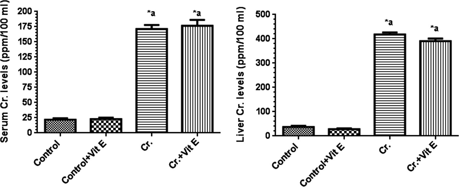 Serum and hepatic Cr levels in all rat groups. Values were considered significantly different at P < 0.05. ∗: Significantly different when compared to control group. (a) Significantly different when compared to control + vitamin E-treated group. (b) Significantly different when compared to Cr group. Control + vitamin E represents vitamin E-treated group; Cr + vitamin E represents Cr and vitamin E-treated group. Values are given as mean ± S.D. of six rats in each group.