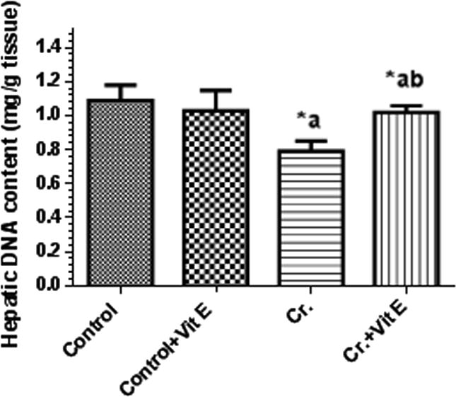 Total hepatic DNA content in the control and all experimental rat groups. Values were considered significantly different at P < 0.05. ∗: Significantly different when compared with the control group. (a) Significantly different when compared with the control + vitamin E-treated group. (b) Significantly different when compared with the Cr-treated group. Control + vitamin E represents vitamin E-treated group; Cr + vitamin E represents Cr and vitamin E-treated group. Values are given as mean ± S.D. of six rats in each group.