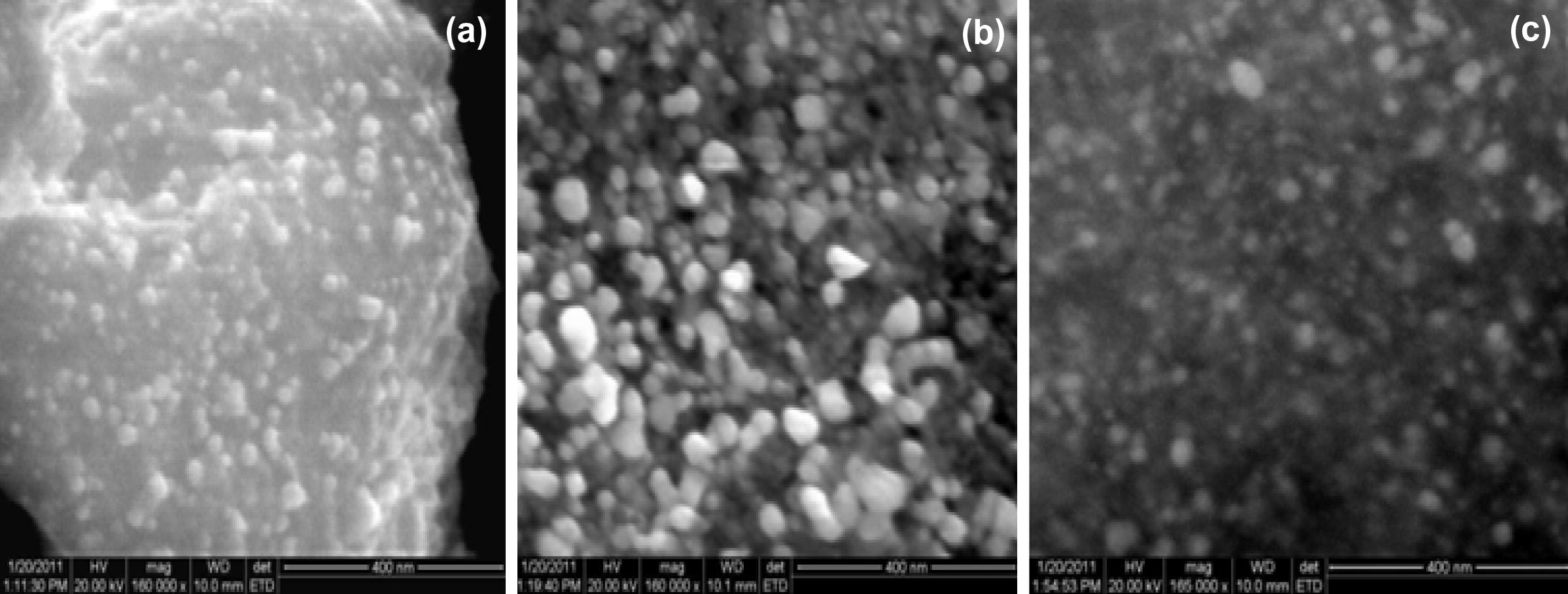 HR-SEM micrographs of SNPs generated using extracts of ipomoea (a) leaves, (b) stem and (c) root.