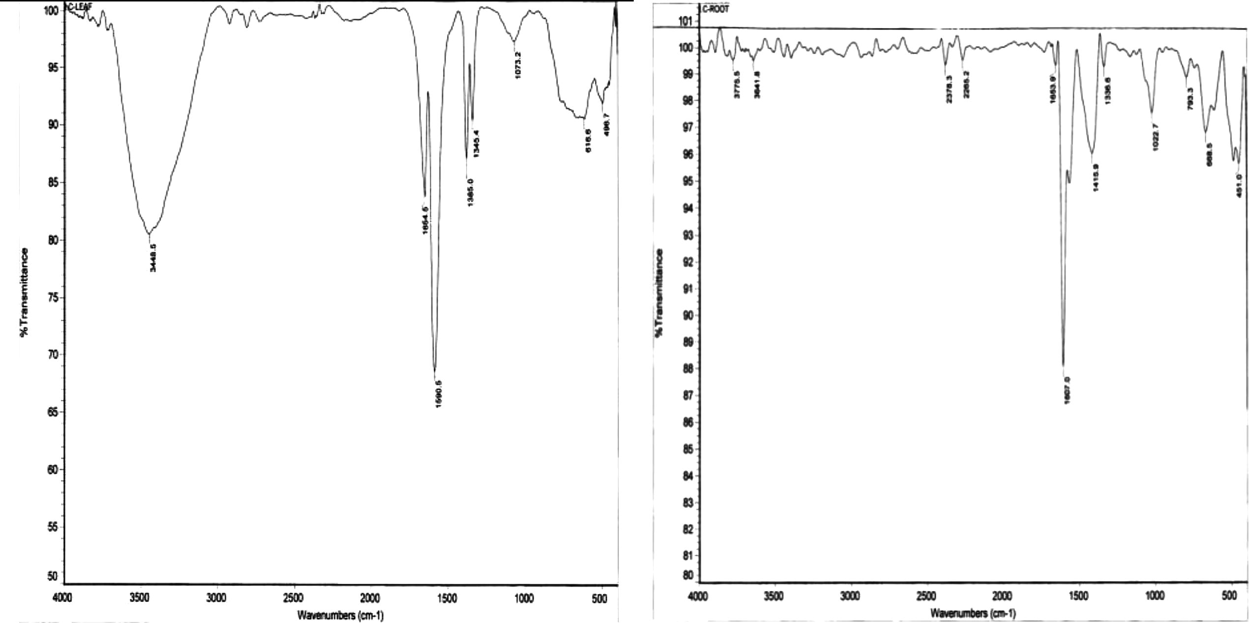 FTIR images of SNPs generated using extracts of ipomoea leaves (left) and of root (right).