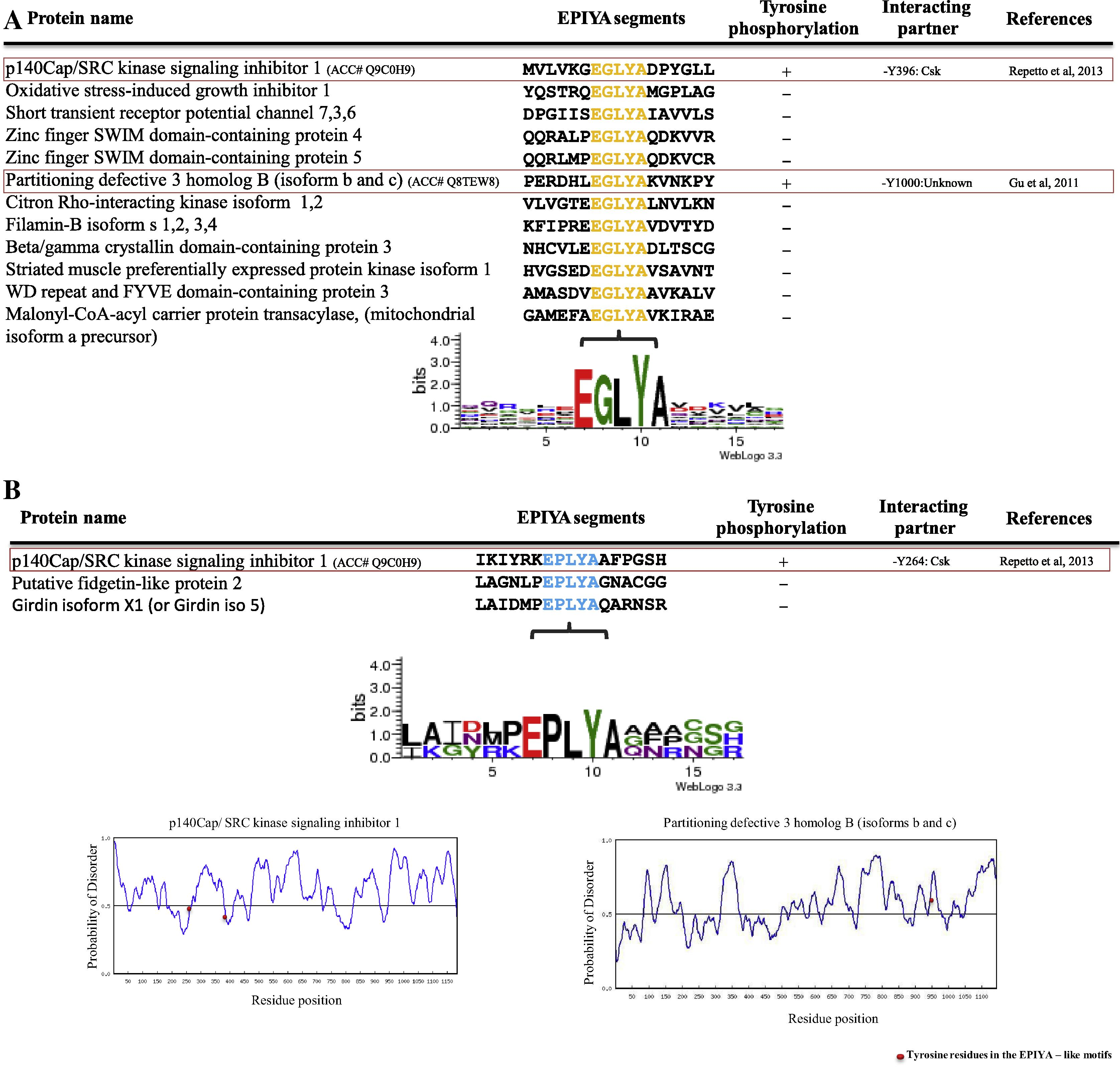 (A and B) List of human EPIYA-like motifs (EGLYA and EPLYA) containing proteins. Functional EGLYA and EPLYA motifs in mammalian proteins are shown in red boxes. Alignment of sequence surrounding EGLYA and EPLYA motifs is displayed and structure disorder prediction of mammalian proteins which contain functional EPIYA-like motifs (EPLYA or EGLYA) is shown. (See above-mentioned references for further information.)