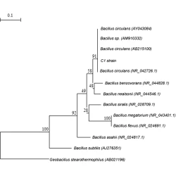 Article figure