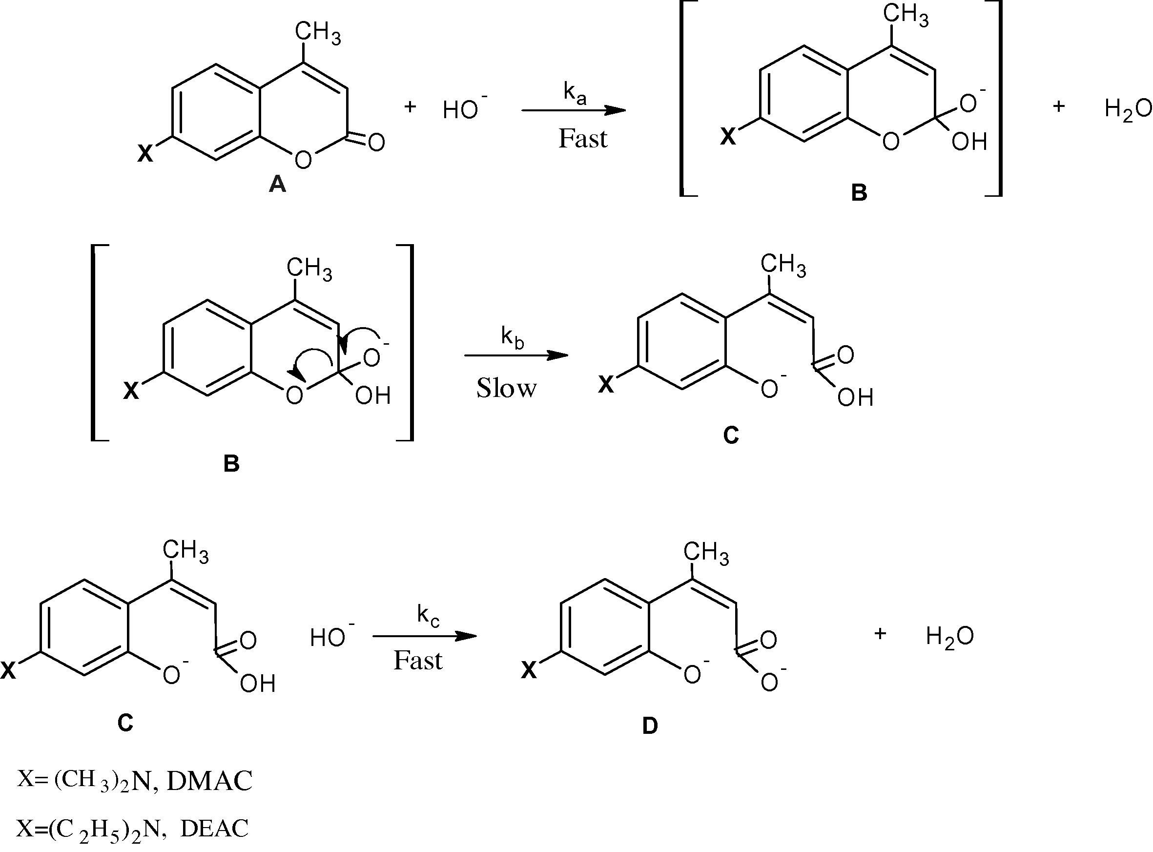 Suggested mechanism of the base hydrolysis of DMAC and DEAC.