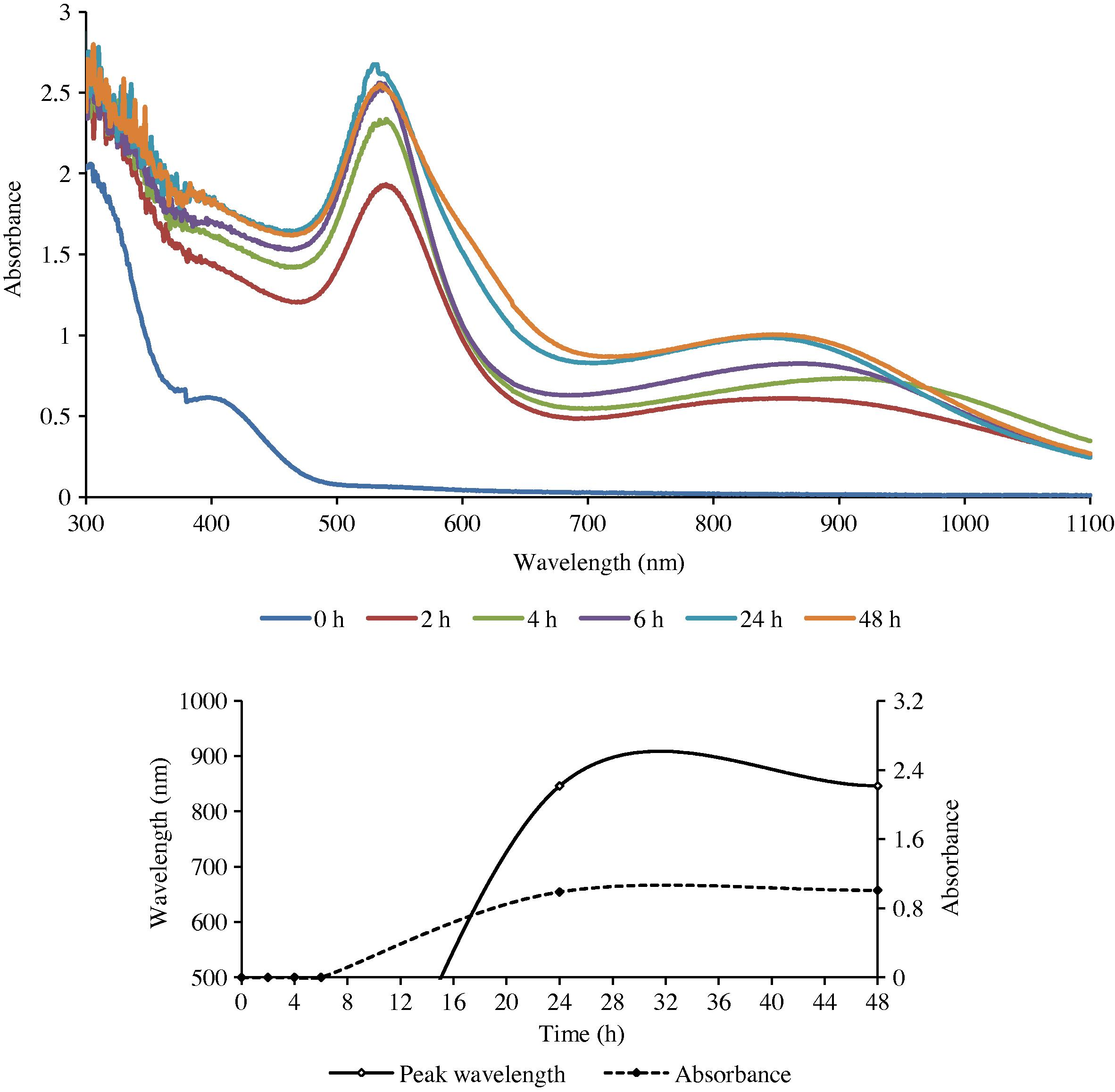 The UV–Visible spectra of GNPs formed with gold (III) and the stem extract of ipomoea (top), and the change in λmax as a function of time.