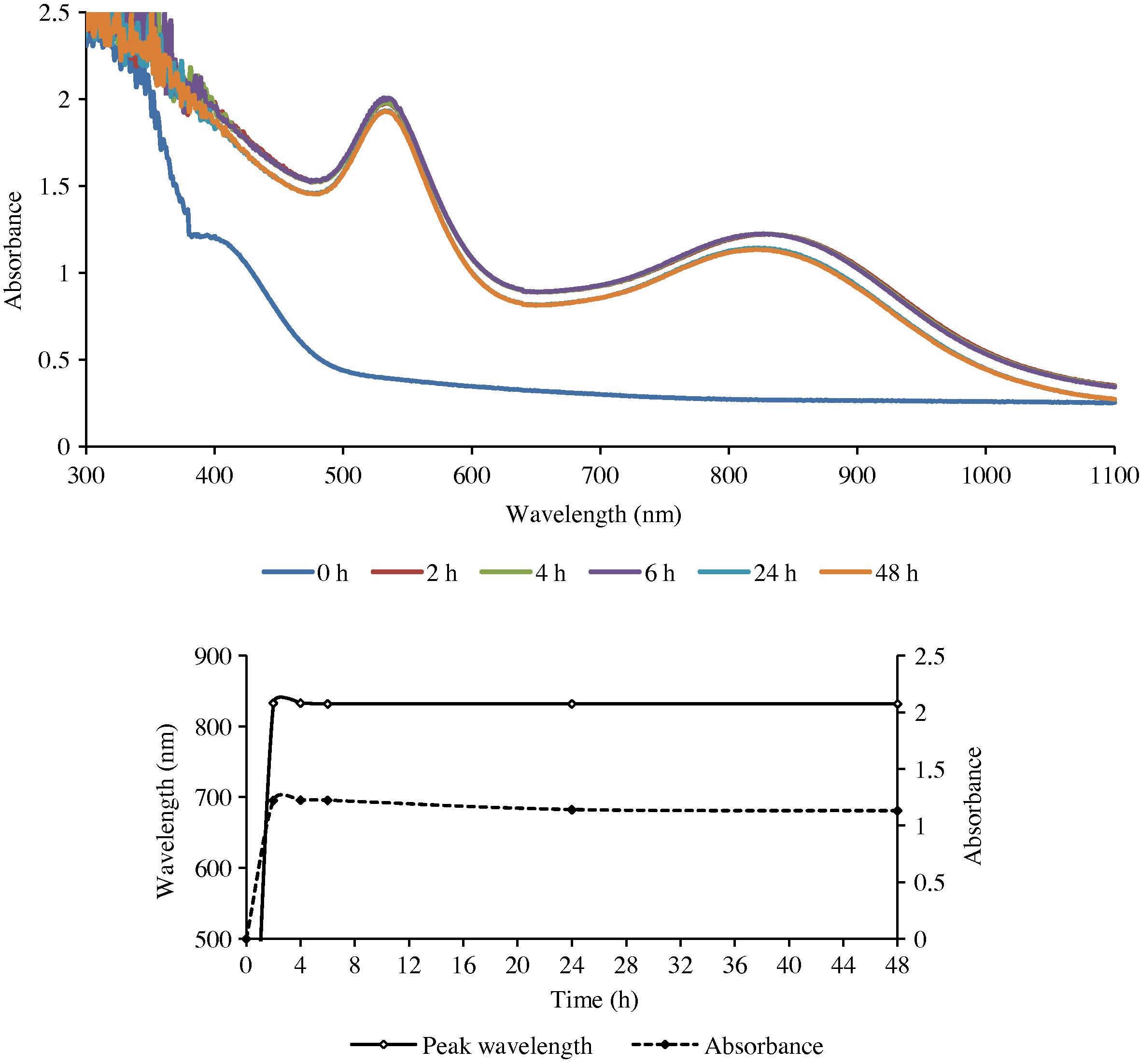 The UV–Visible spectra of GNPs formed with gold (III) and the root extract of ipomoea (top), and the change in λmax as a function of time.