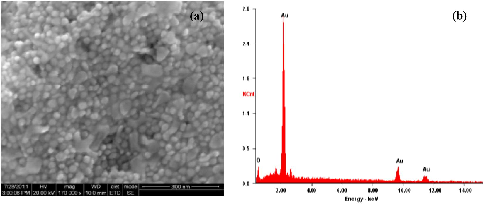 The HR-SEM (a), and EDAX (b) image of GNPs formed with the leaf extract of ipomoea and gold (III).