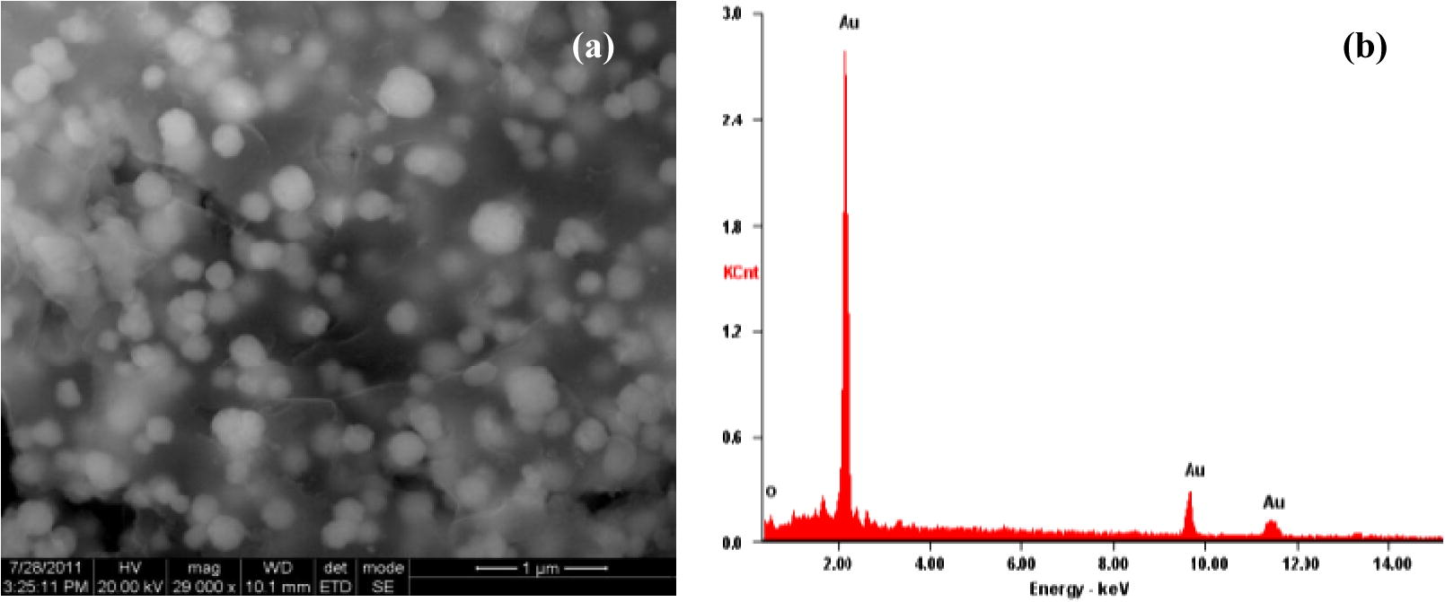 The HR-SEM (a), and EDAX (b) image of GNPs formed with the steam extract of ipomoea and gold (III).