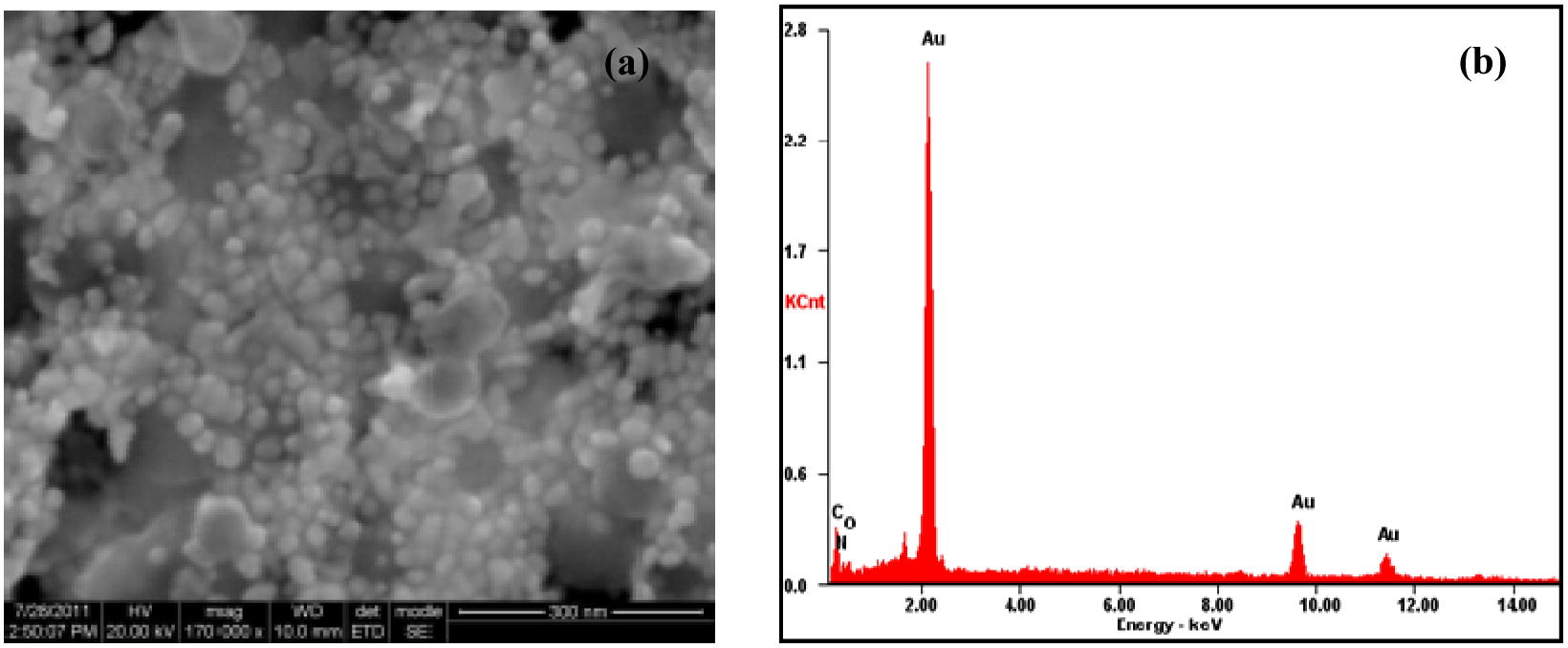 The HR-SEM (a), and EDAX (b) image of GNPs formed with the root extract of ipomoea and gold (III).