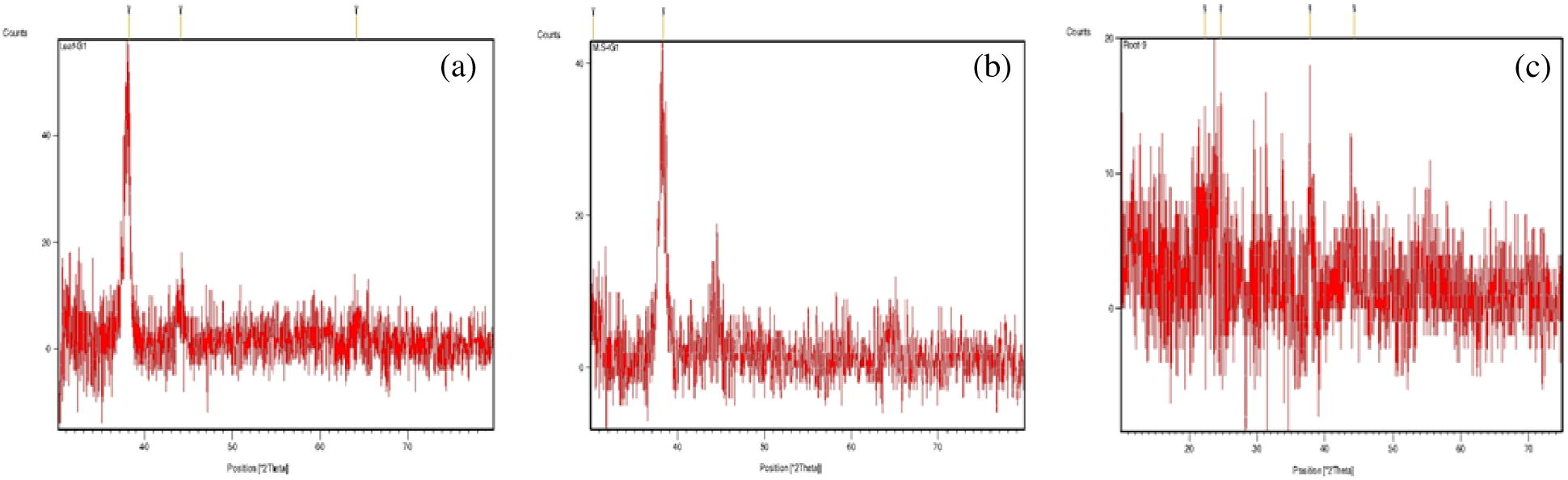 X-ray diffraction spectrum of GNPs formed with the leaf extract (a), steam extract (b), and root extract (c) of ipomoea.