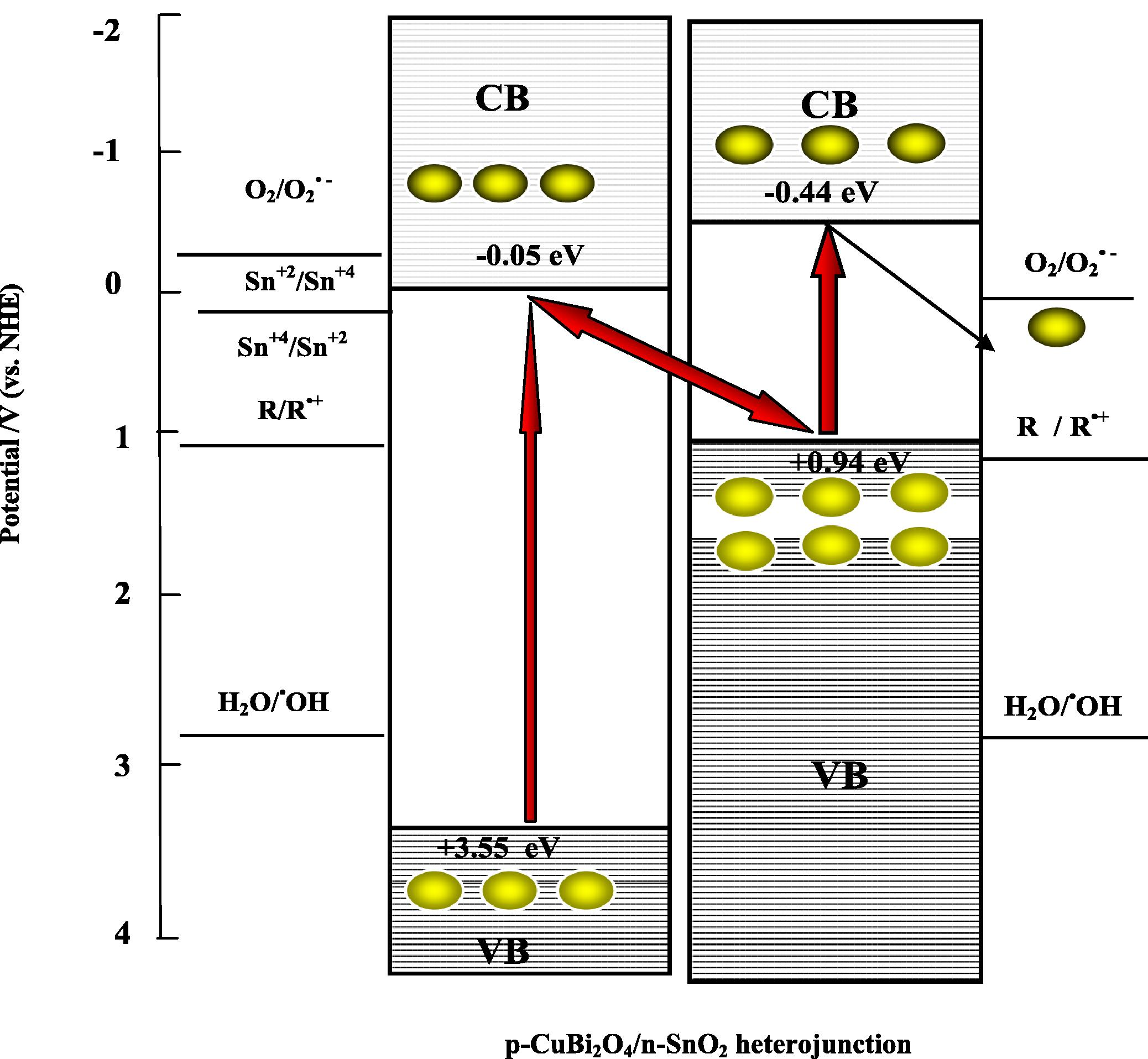 Mechanism of CR degradation in a z-scheme photocatalysis system consisting of CuBi2O4/SnO2 heterojunction under UVA-light irradiation. (electron and hole ).