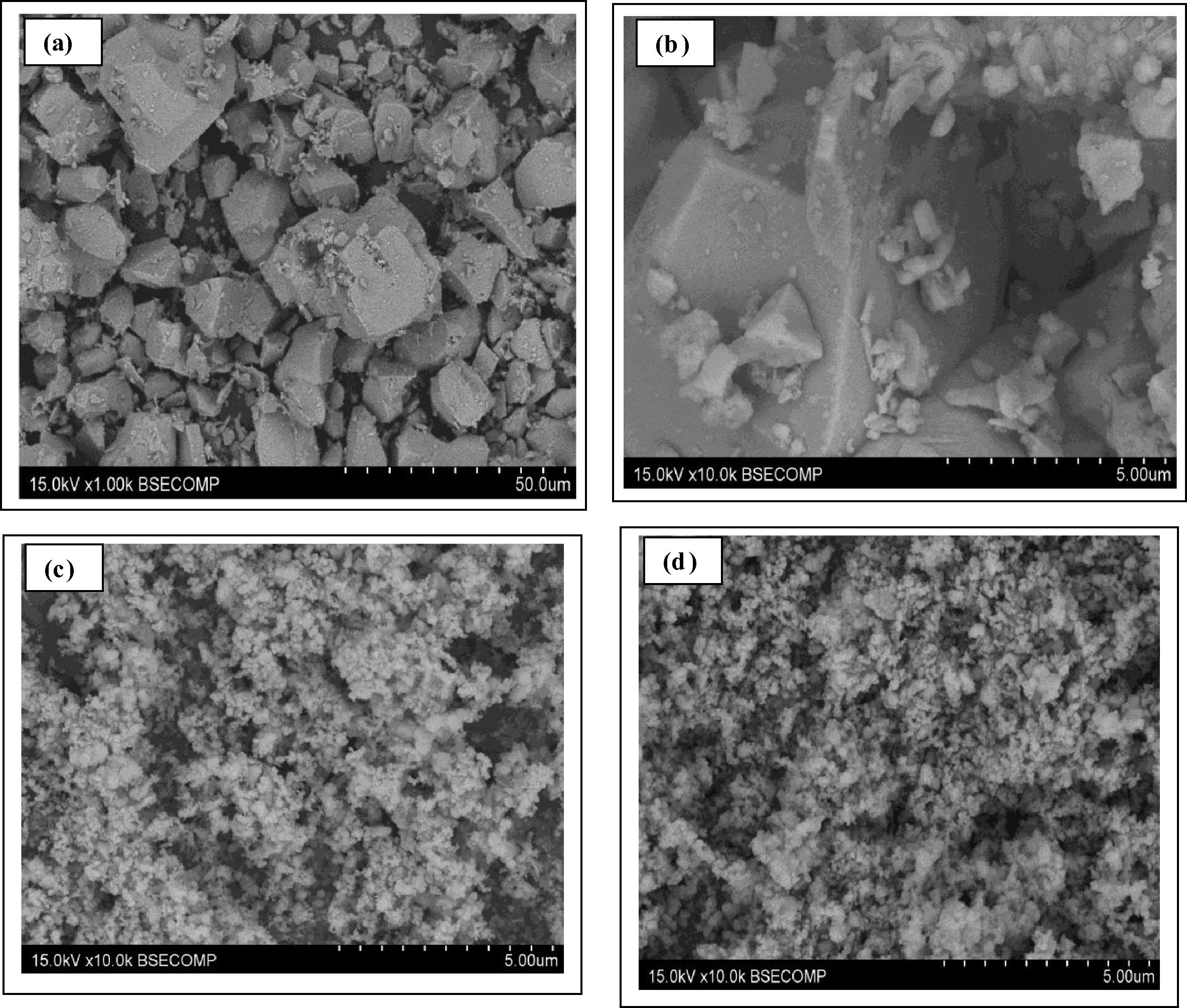 SEM images of (a) low-resolution of CuBi2O4 (b) high-resolution of precursor CuBi2O4 (c) pure SnO2 (d) (5 wt%) CuBi2O4/SnO2 nanocomposites.